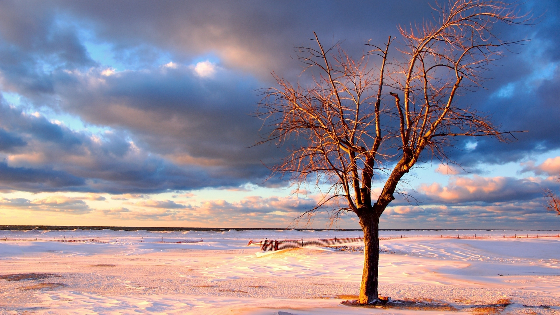 зимние обои, зима, небо, пейзажи, фото, снег, берег, дерево, океан, деревья, море, вода