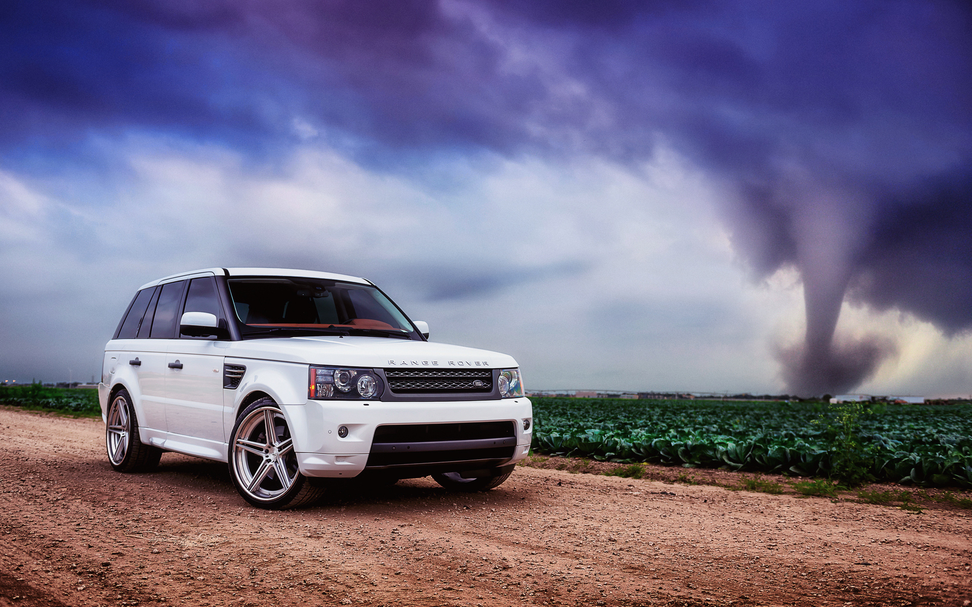 white, sport, белый, range rover, ренж ровер, land rover, ленд ровер