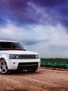 white, sport, белый, range rover, ренж ровер, land rover, ленд ровер