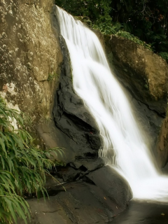 скалы, природа, джунгли, водопад