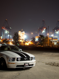 cars wall, cars, auto, ford mustang, gt, city, обои авто, фото, вечер, улица, wallpapers auto