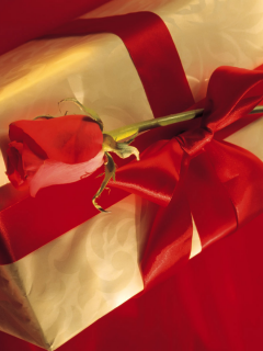 бантик, лента, цвет, цветок, праздник, красный, настроение, подарок, роза, сверток, упаковка, коробка
