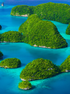 rock island palau, зелень, острова, море