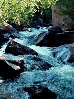 поток, природа, пейзаж, горная река, вода, камни
