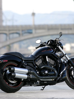 harley-davidson, мотоцикл, vrscdx, night rod special