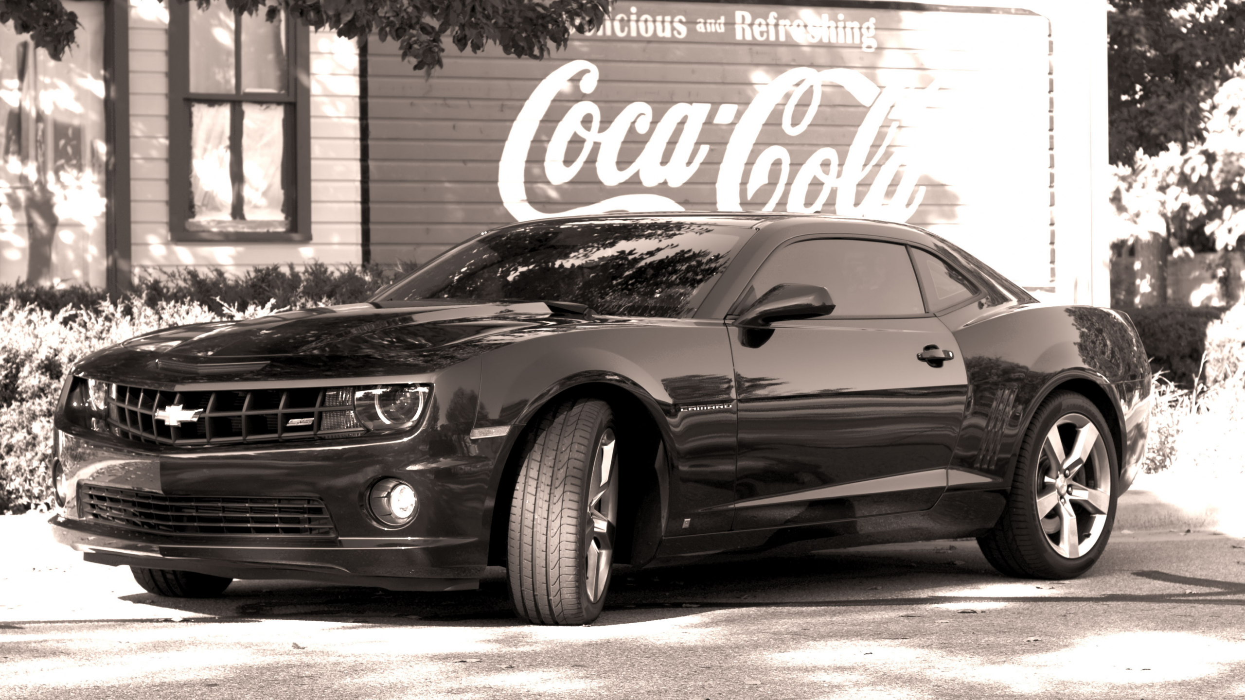 camaro, black, chevrolet, coca cola