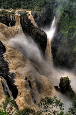 скала, джунгли, водопад