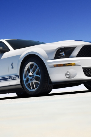 mustang, cobra gt500, ford, shelby, auto wallpapers, widescreen