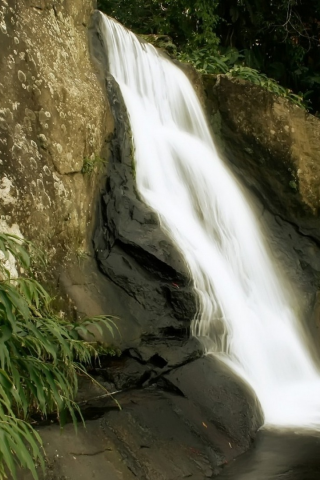 скалы, природа, джунгли, водопад