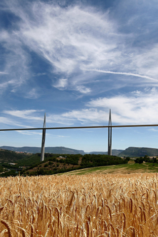 мост, поле, виадук милау, пшеница, франция