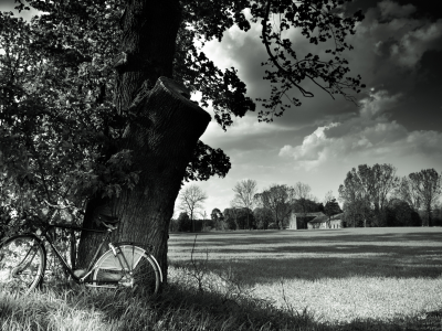 landscape, велосипед, black and white, bicycle, nature, tree, field