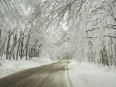 дорога, снег, зима, деревья