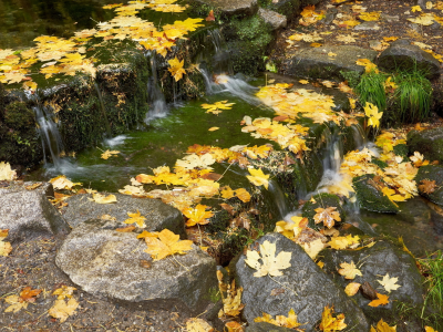 осень, камни, мох, листья, трава, пруд, вода