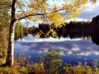 лес, озеро, природа, осень, небо