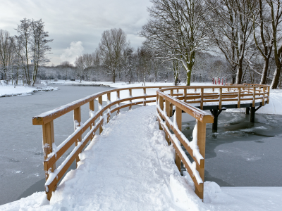 мост, зима, парк