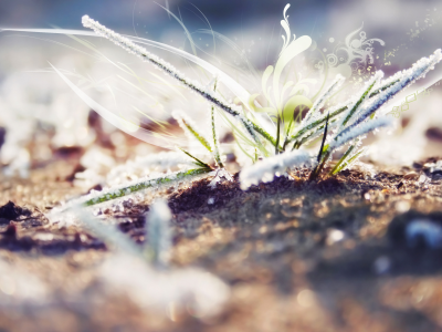 замерзшая, трава, графика, frozen. grass, размытое, blur