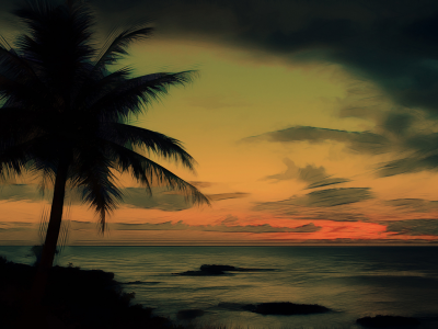 океан, небо, пальма, берег