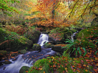 осень, листья, водопад, река, ручей, природа, лес