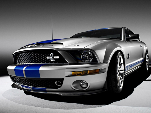 подиум, серый фон, gt500kr, 540 лошадиных сил, shelby, полосы