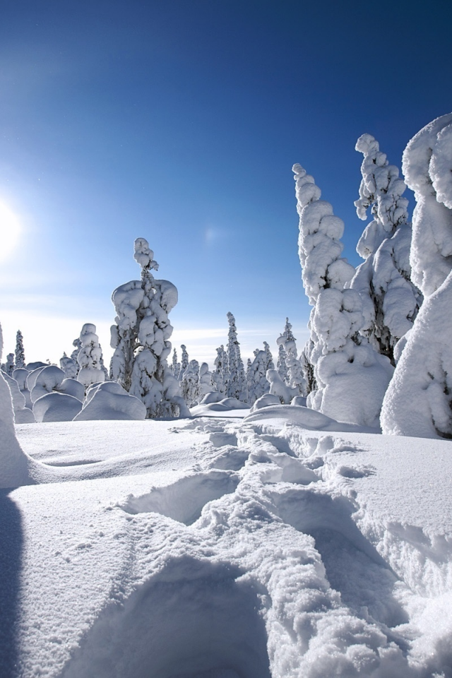 финляндия, зима, finland, снег, winter
