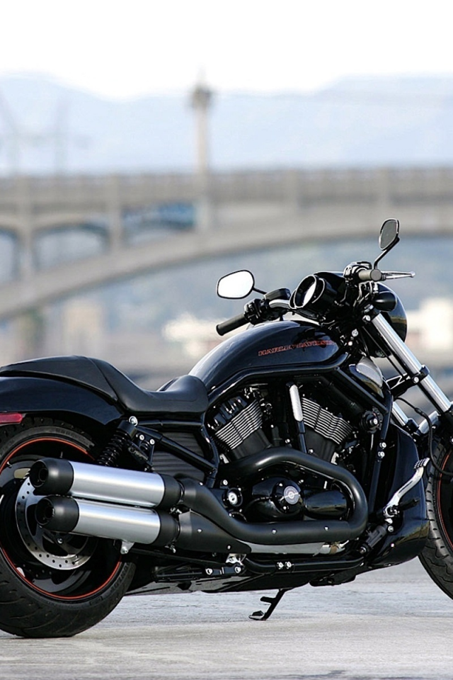 harley-davidson, мотоцикл, vrscdx, night rod special