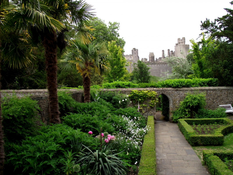 замок, парк, arundel castle rose gardens uk, стена, камень, деревья