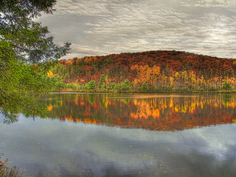 осень, вода, небо, лес, hdr