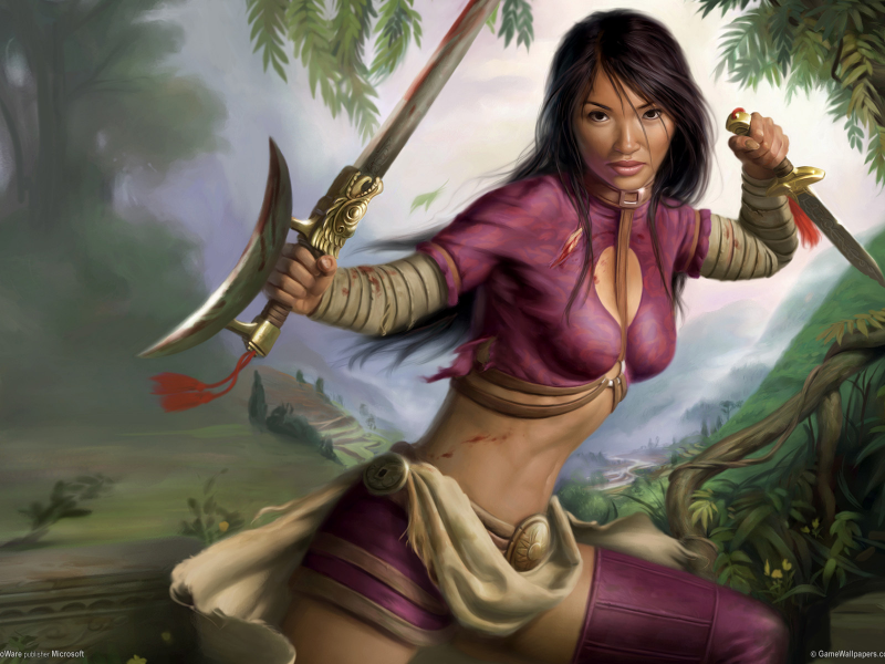 воин, красотка, bioware, jade empire, 2007, rpg, action, девушка