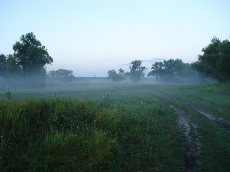 поволжье, туман, раннее утро