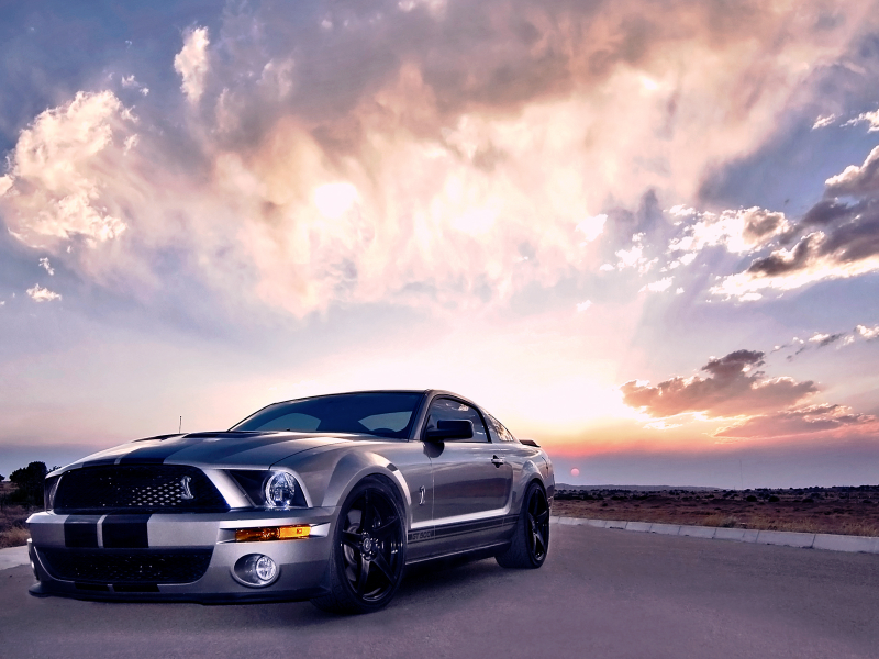 shelby, gt500, ford, cobra, mustang
