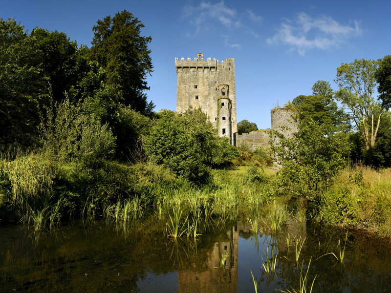 замок, пруд, ирландия