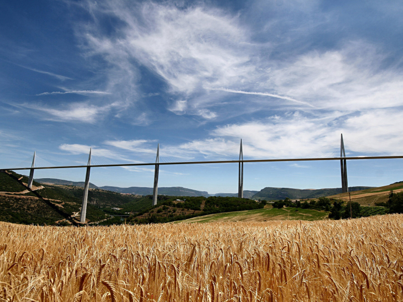 мост, поле, виадук милау, пшеница, франция