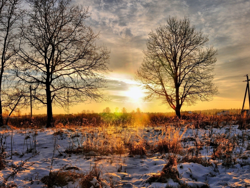 фон, солнце, закат, обои, снег, пейзаж, зима, природа, деревья, картинка, фото, небо, мороз