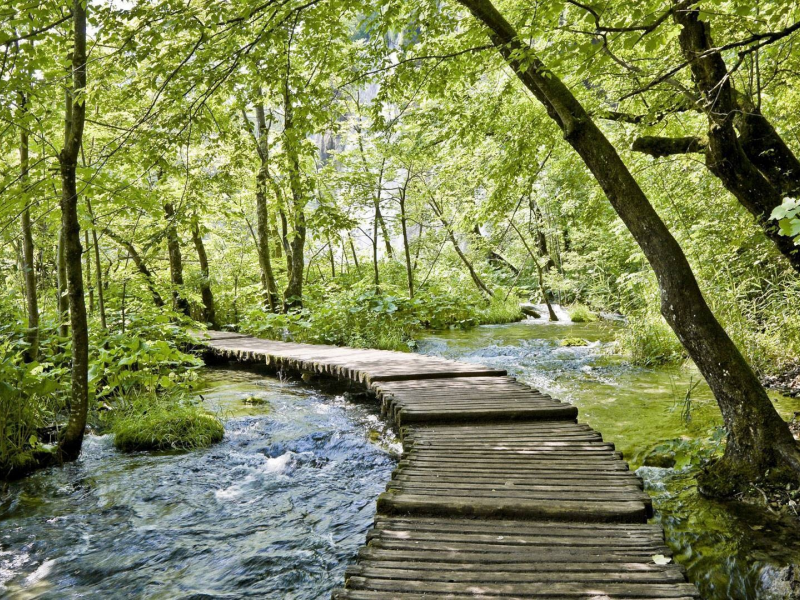 ручей, природа, вода, мост