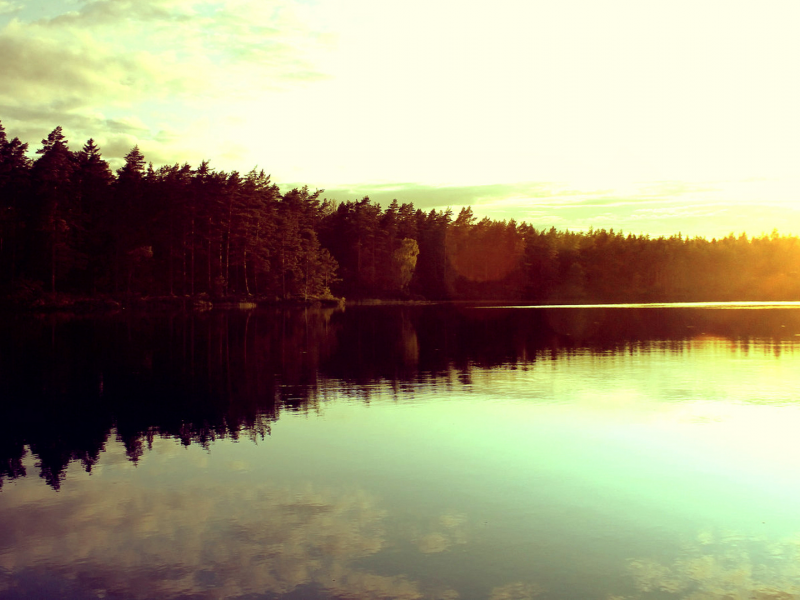 безупречный, озеро, закат, солнца, отражение, лес