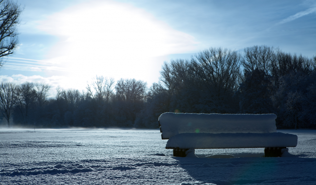 bench, в снегу, искрится, скамья, снег, день, парк, зима