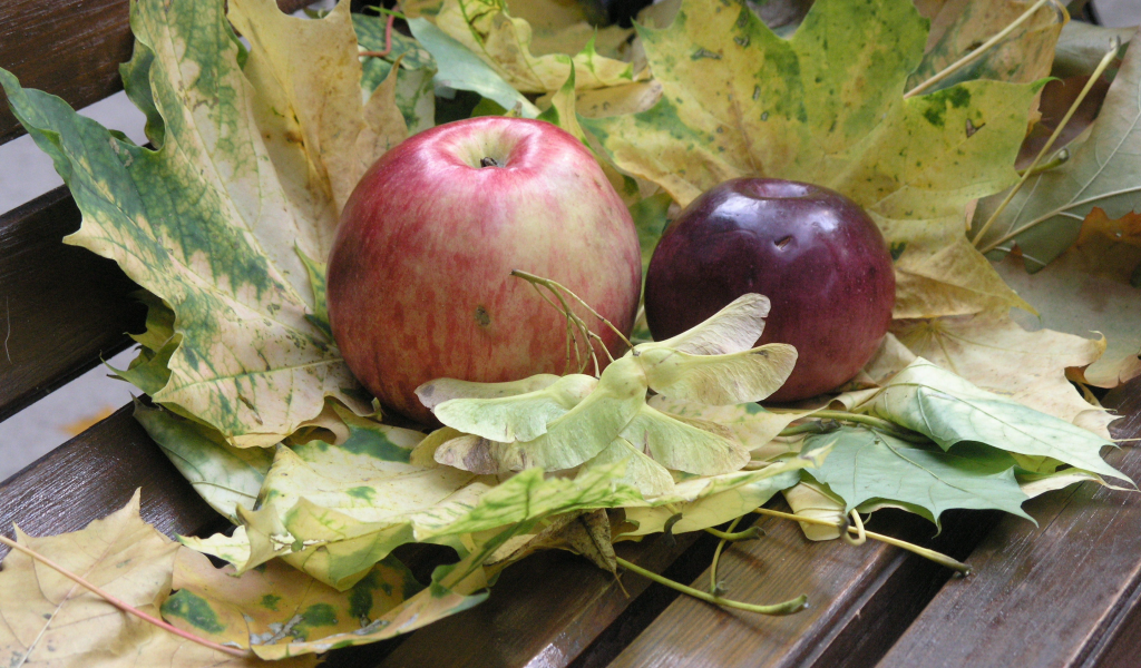 осень, яблоки, кленовые листья