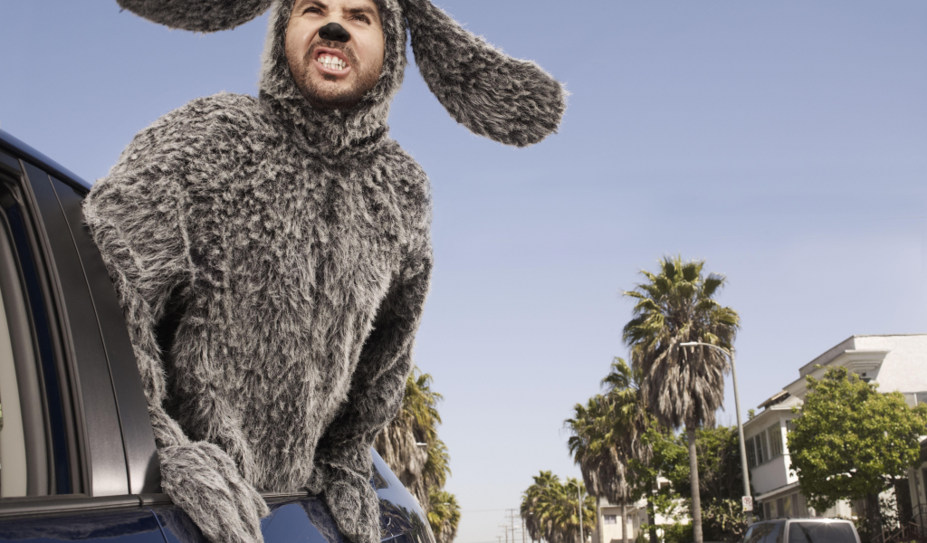 wilfred, сериал, уилфред