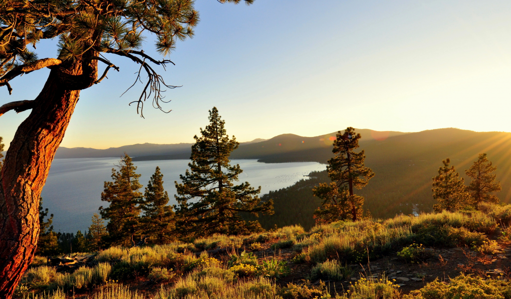 high sierra, природа, калифорния, озеро тахо