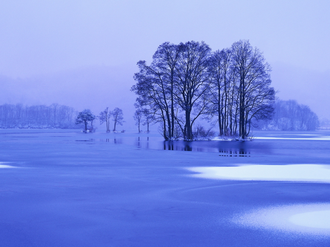 зима, синий, озеро, пейзаж, деревья, природа, лед, снег