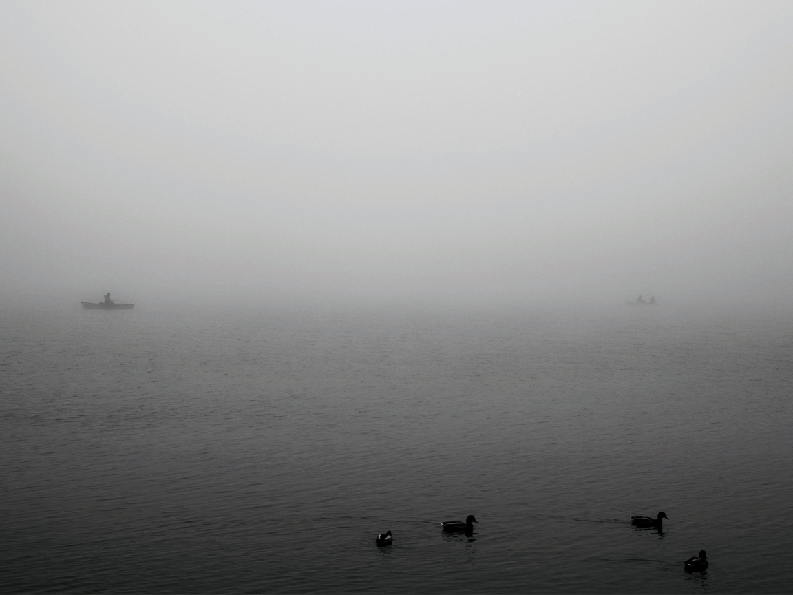 туман, птицы, животные, озеро, человек, судна, обои, море, люди, вода, лодки, пейзажи, океан, судно, утки, фото, лодки, река
