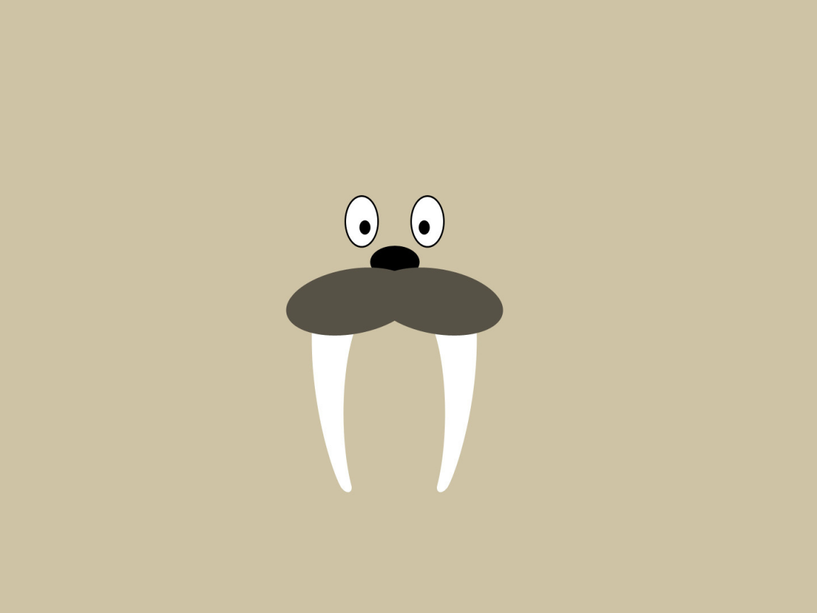 minimalism, tusks, глаза, 1920x1080, eyes, морж, минимализм, стиль, нос, бивни, walrus, style, nose