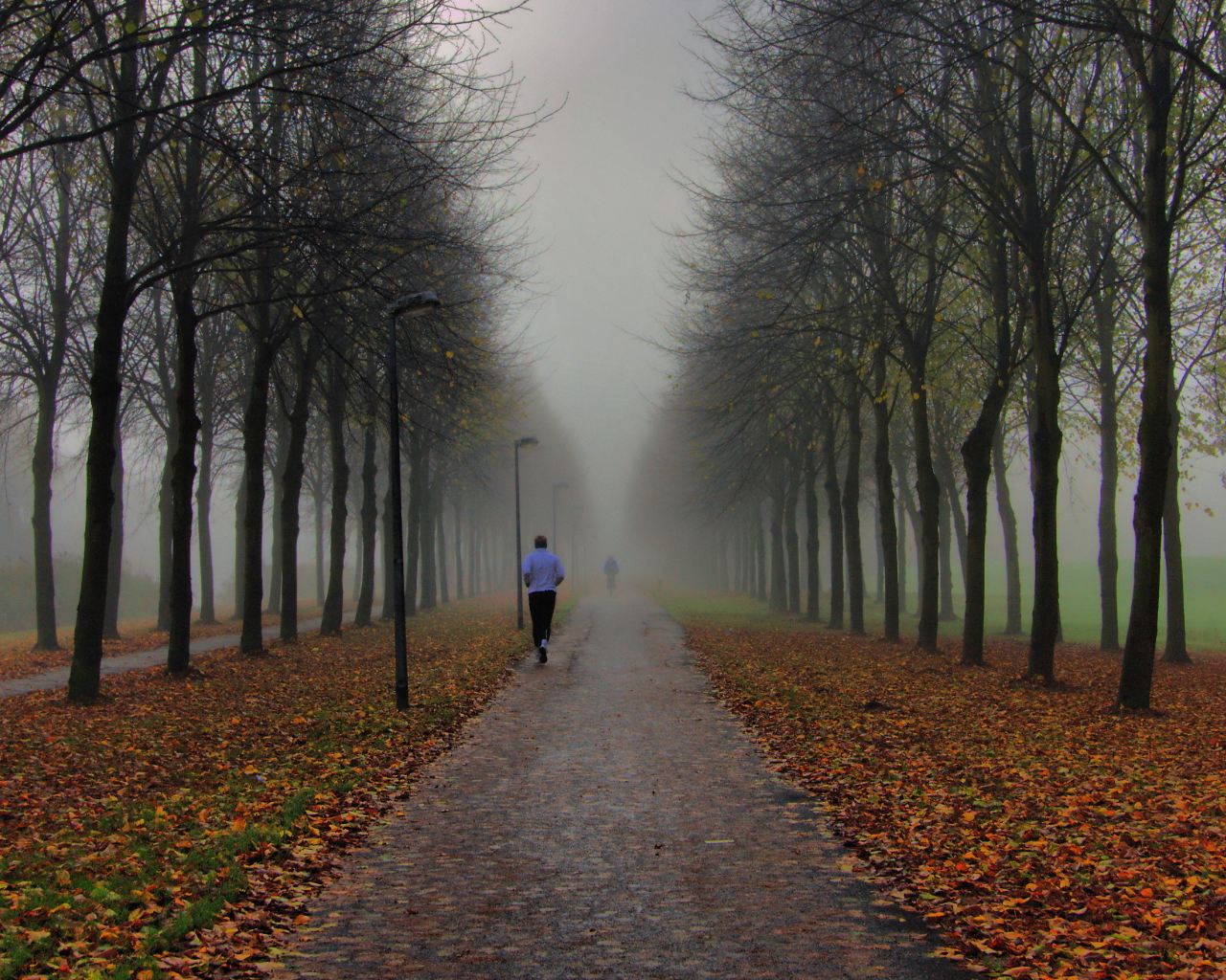 парк, осень, фонари, люди, туман, утро, пробежка