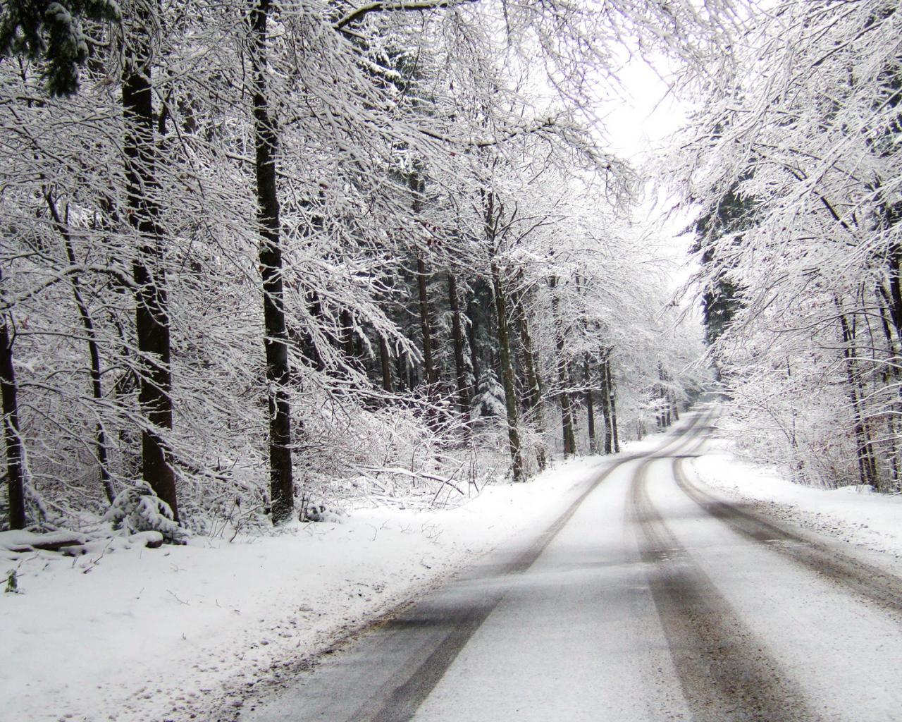 дорога, снег, пасмурно, лес, зима, вдаль, поворот