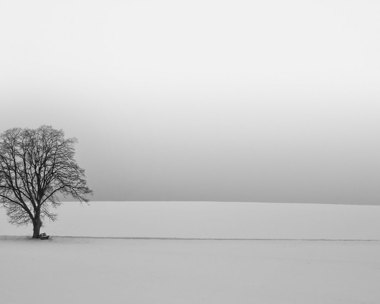 зима, дерево, снег