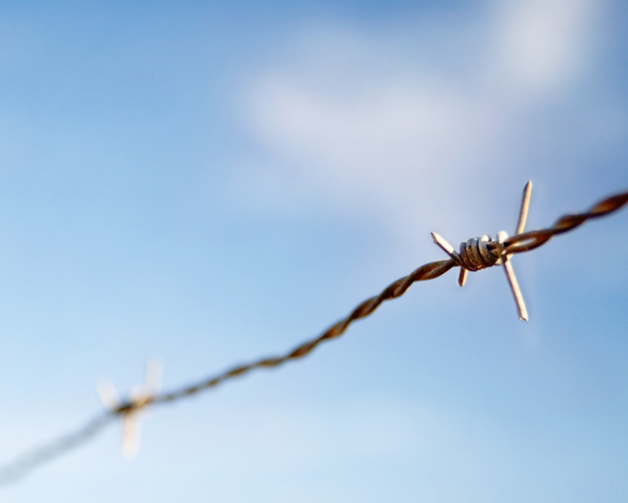 sky, focus, 2560x1600, macro, фокус, небо, колючая проволока, barbed wire, макро