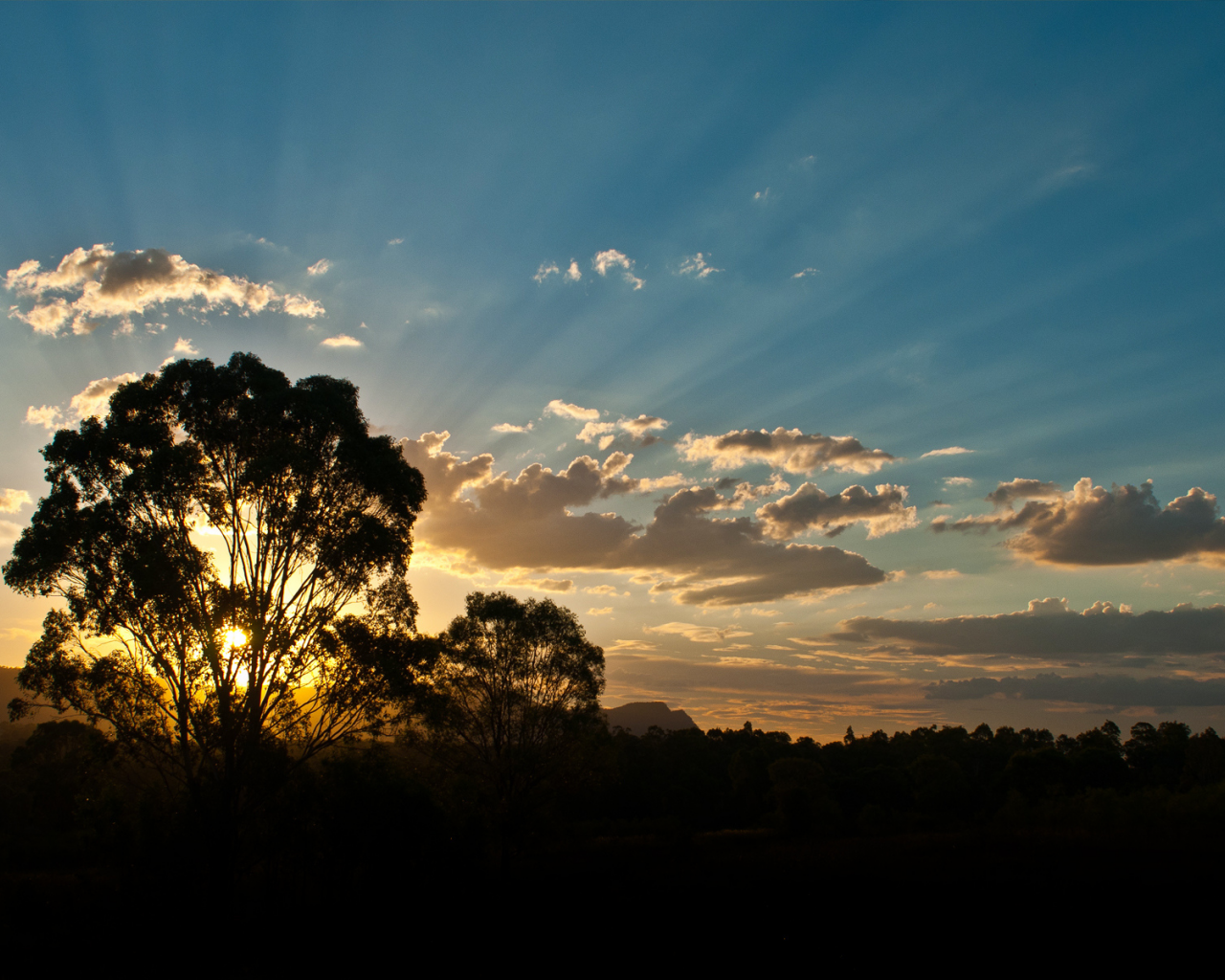 австралия, деревья, деревья, australia, лучи, облака, солнце, лес, лучи солнца, горы, закат, вечер, дерево