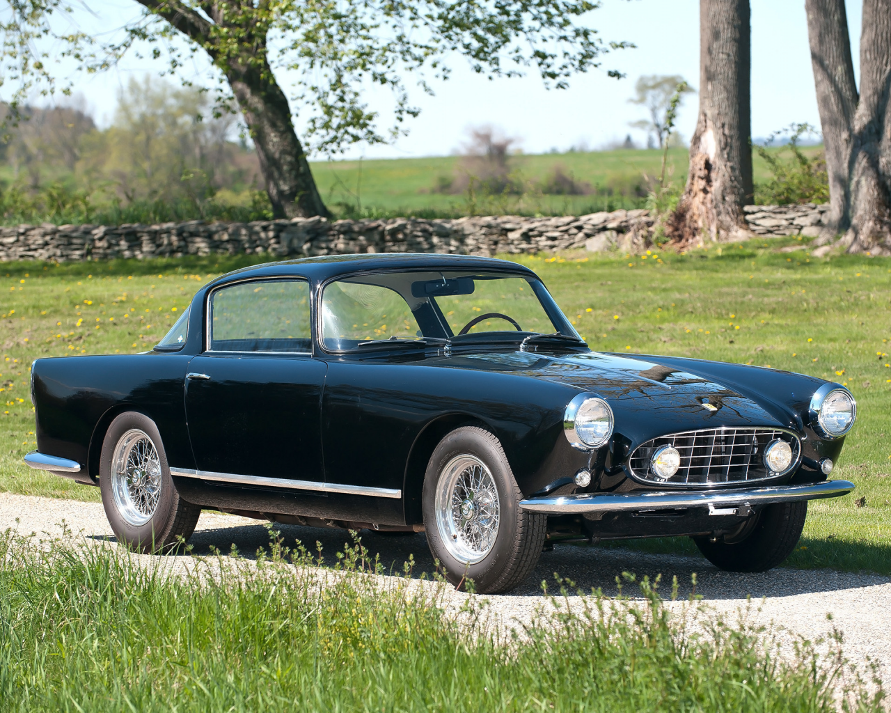 трава, деревья, красивая машина, 250 gt, феррари, ferrari, ellena, купе, класика