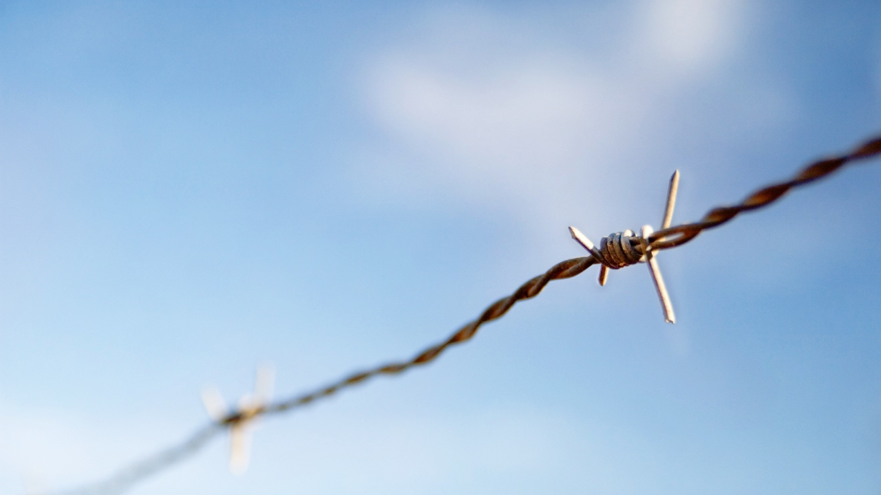 sky, focus, 2560x1600, macro, фокус, небо, колючая проволока, barbed wire, макро