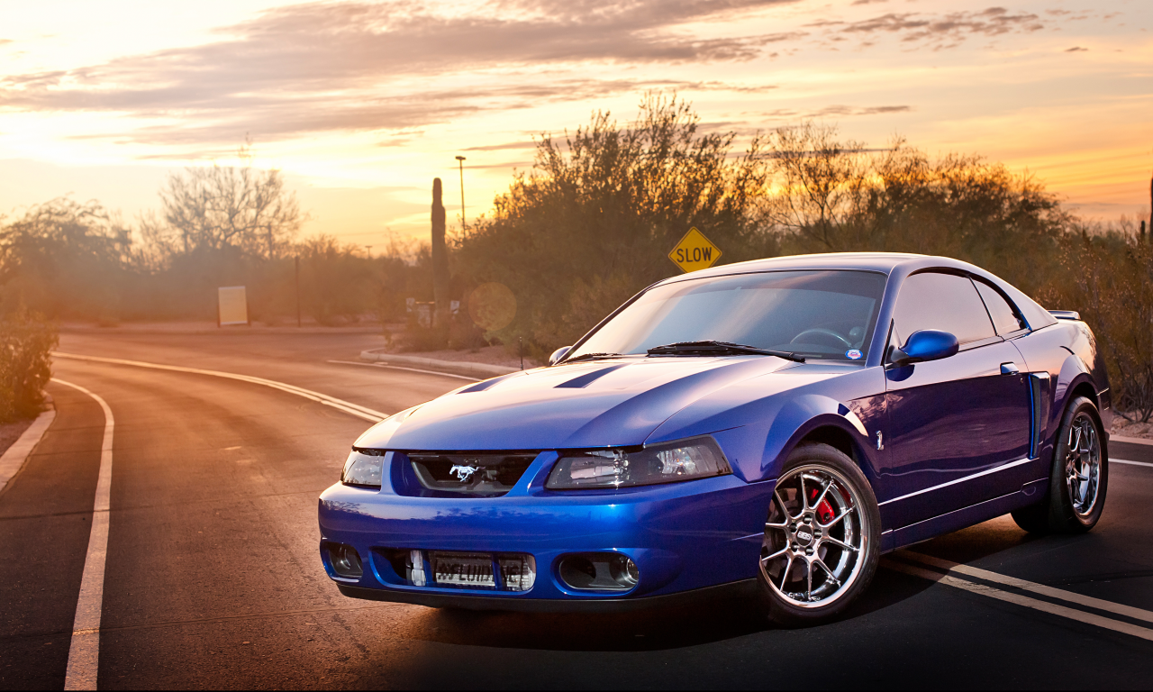 svt, ford, cobra, mustang, terminator